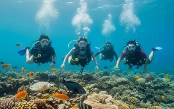 PAKET WISATA KARIMUNJAWA FUN DIVING