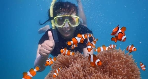 PAKET WISATA KARIMUNJAWA SNORKELING ONE DAY TRIP