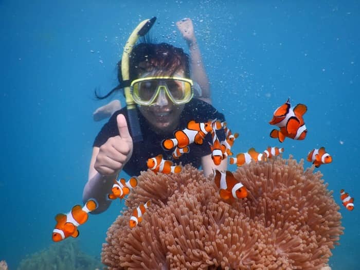 PAKET WISATA KARIMUNJAWA SNORKELING ONE DAY TRIP