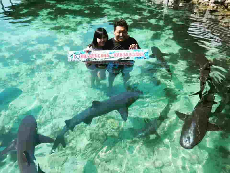 menjangan besar karimunjawa