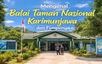 Balai Taman Nasional Karimunjawa dan Fungsinya