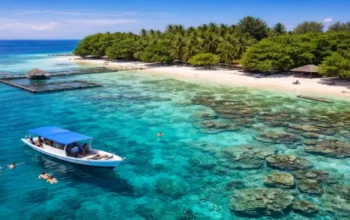 Jasa Tour Pulau Menjangan Kecil Karimunjawa Snorkeling Terbaik