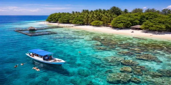 Jasa Tour Pulau Menjangan Kecil Karimunjawa Snorkeling Terbaik