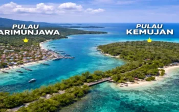 Perbedaan Pulau Karimunjawa vs Pulau Kemujan bagi Wisatawan