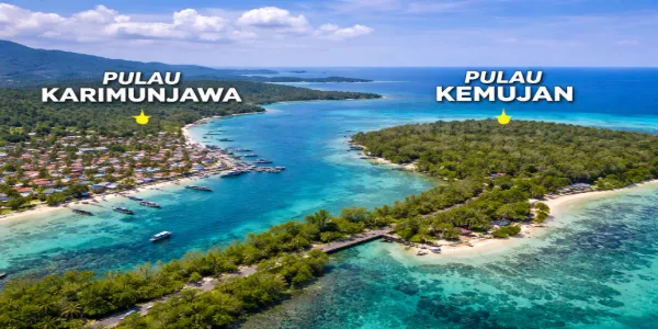 Perbedaan Pulau Karimunjawa vs Pulau Kemujan bagi Wisatawan