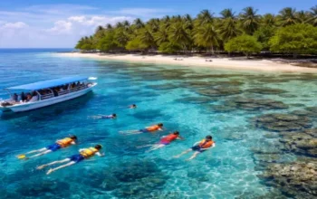 Tour Snorkeling Tanjung Gelam Karimunjawa untuk Pemula