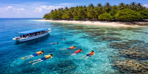 Tour Snorkeling Tanjung Gelam Karimunjawa untuk Pemula