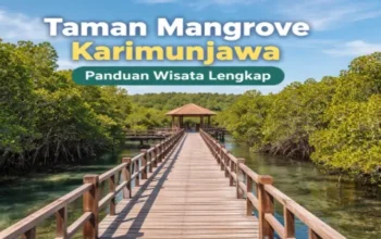 wisata taman mangrove Karimunjawa