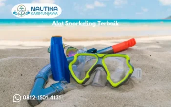 Alat Snorkeling Terbaik