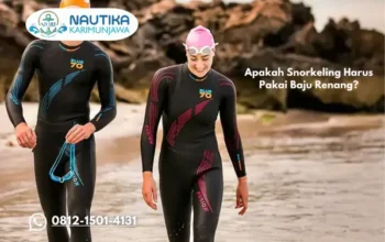 Apakah Snorkeling Harus Pakai Baju Renang