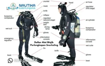 Daftar Alat Wajib Perlengkapan Snorkeling