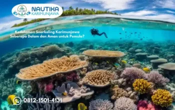 Kedalaman Snorkeling Karimunjawa Seberapa Dalam dan Aman untuk Pemula