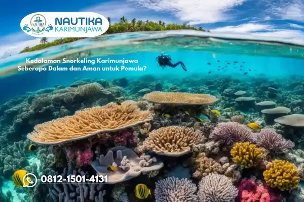 Kedalaman Snorkeling Karimunjawa Seberapa Dalam dan Aman untuk Pemula