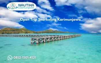 Open Trip Snorkeling Karimunjawa