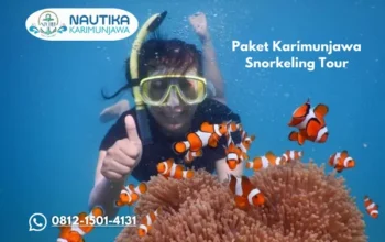 Paket Karimunjawa Snorkeling Tour