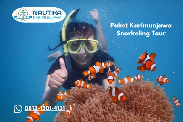 Paket Karimunjawa Snorkeling Tour