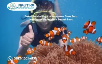 Paket Snorkeling Karimunjawa Cara Seru Menikmati Keindahan Bawah Laut