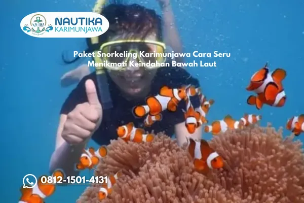 Paket Snorkeling Karimunjawa Cara Seru Menikmati Keindahan Bawah Laut