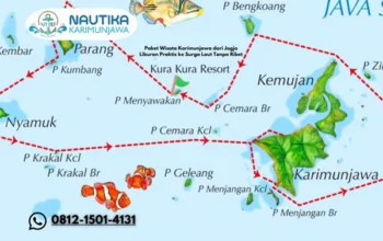 Paket Wisata Karimunjawa dari Jogja Liburan Praktis ke Surga Laut Tanpa Ribet