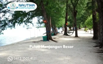 Pulau Menjangan Besar Destinasi Unik Yang Harus Dikunjungi