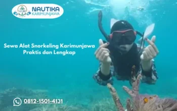 Sewa Alat Snorkeling Karimunjawa Praktis dan Lengkap