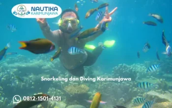 Snorkeling dan Diving di Karimunjawa