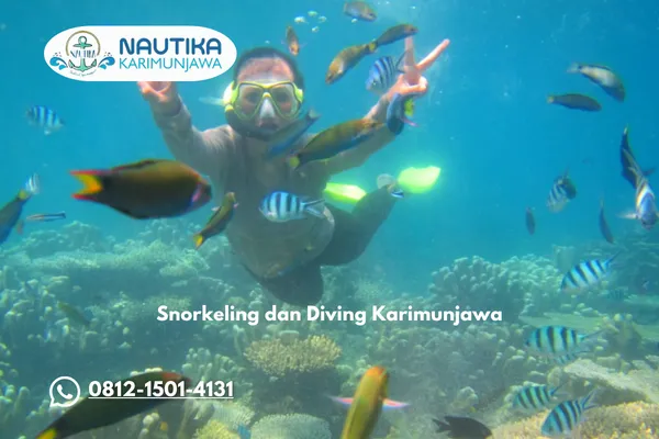 Snorkeling dan Diving di Karimunjawa