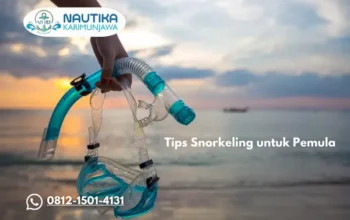 Tips Snorkeling untuk Pemula