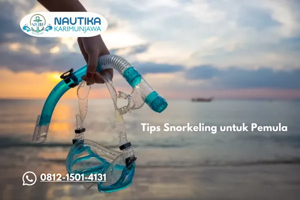 Tips Snorkeling untuk Pemula