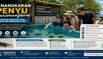 Penangkaran Penyu Karimunjawa