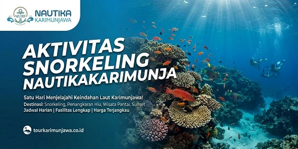 aktivitas snorkeling